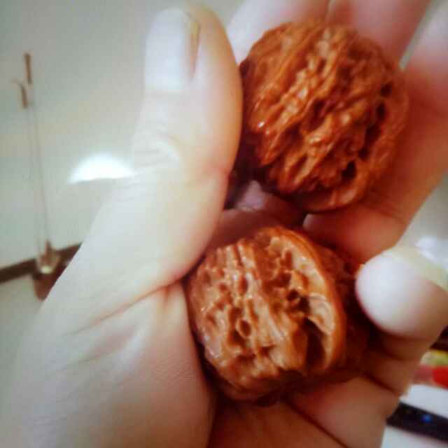 四海为家建筑工程队