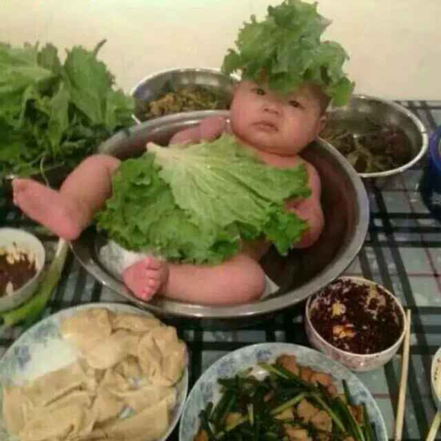 娃娃菜🇨🇳