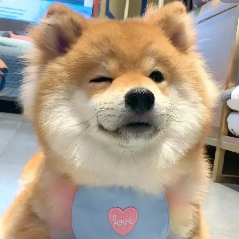 A·如梦潮牌🔝有事请直说