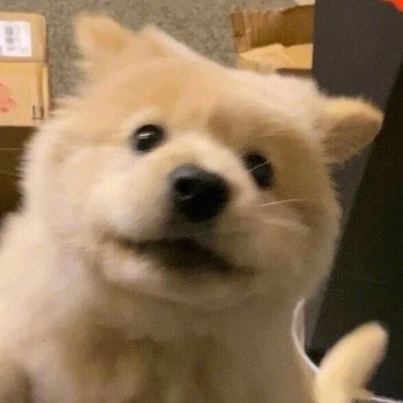 彭彭彭