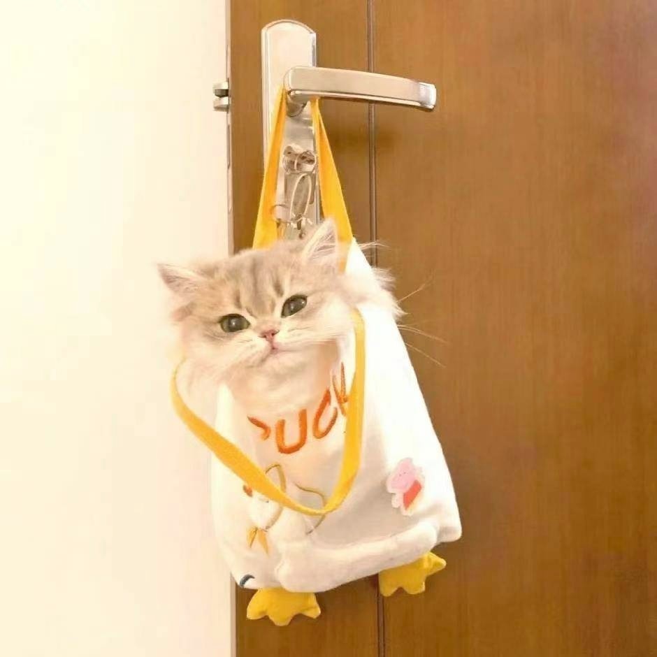 飘了