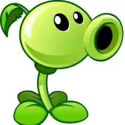 🎾🎾🎾🎾🎾🎾