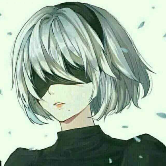 瀚纳威尔 HR 袁鸽