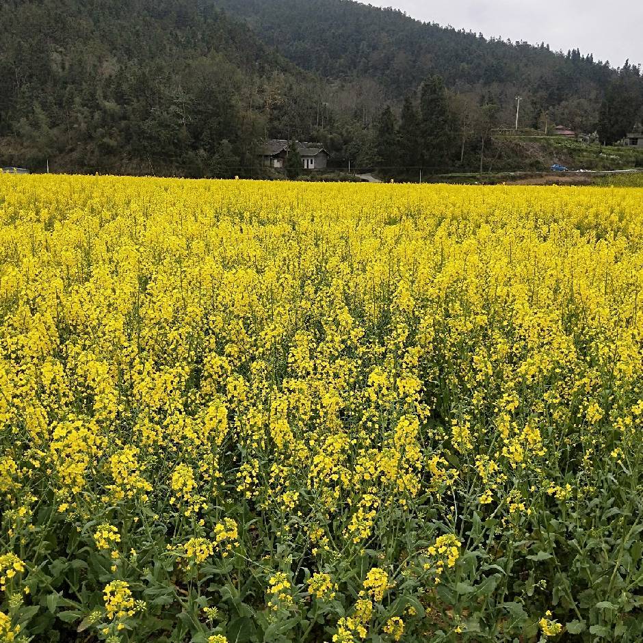 梁山好汉