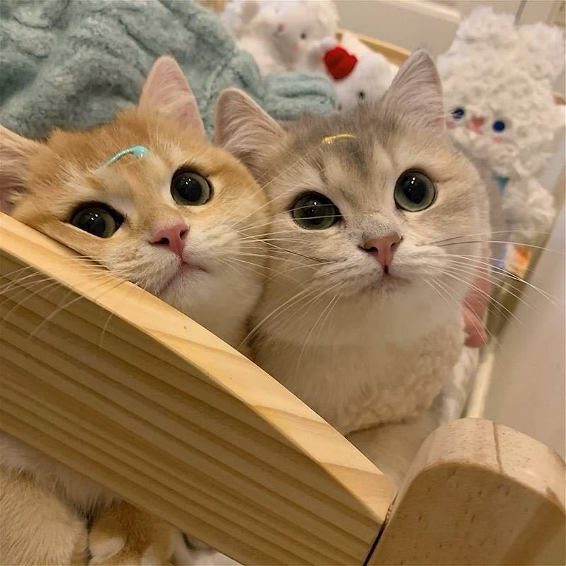 小攀😝