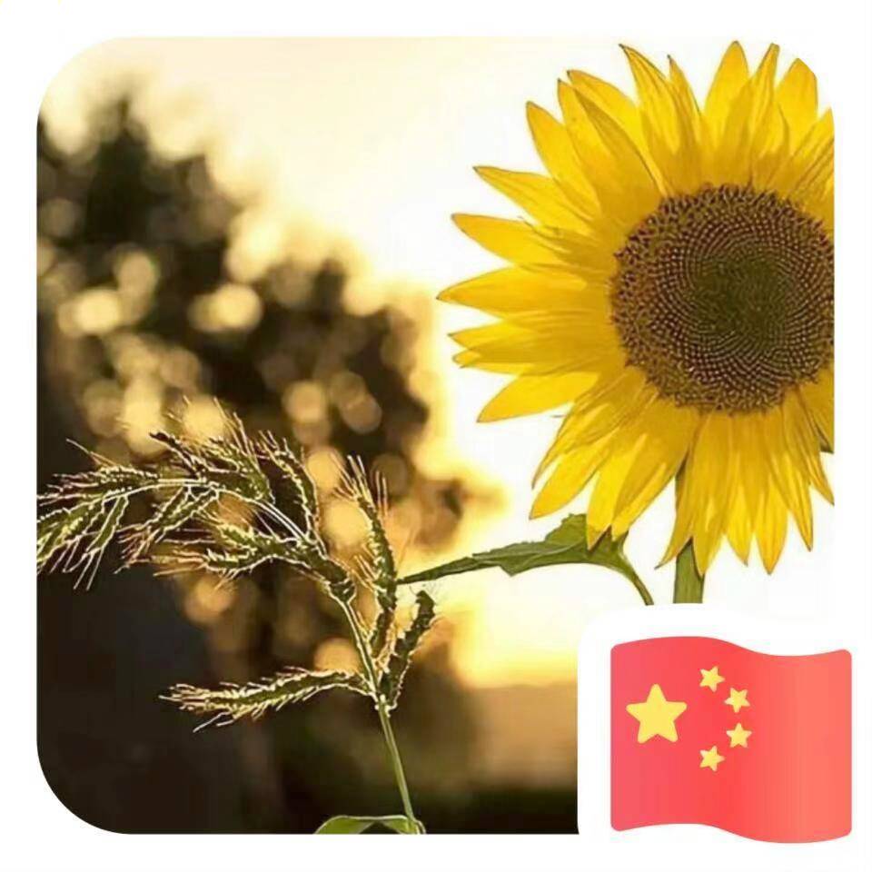 洪芳