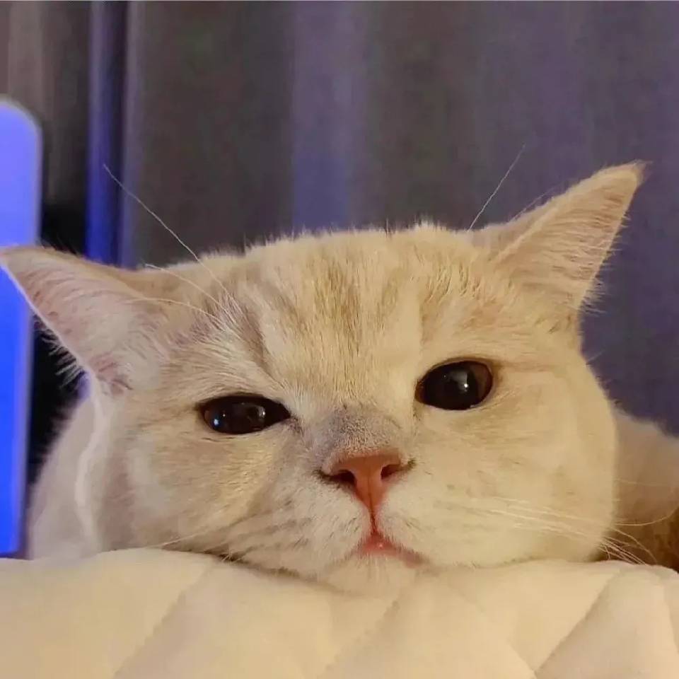 ㅤㅤㅤㅤ