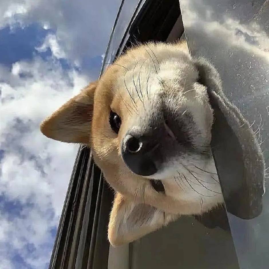 晨曦