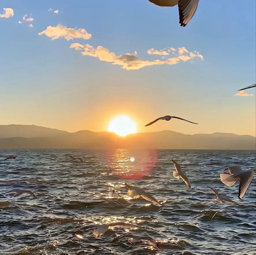 海阔天空