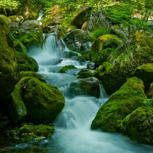 小溪流水