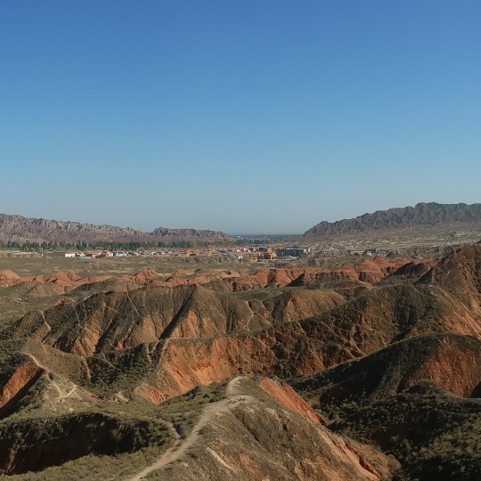 越溪钓叟（杨美成）