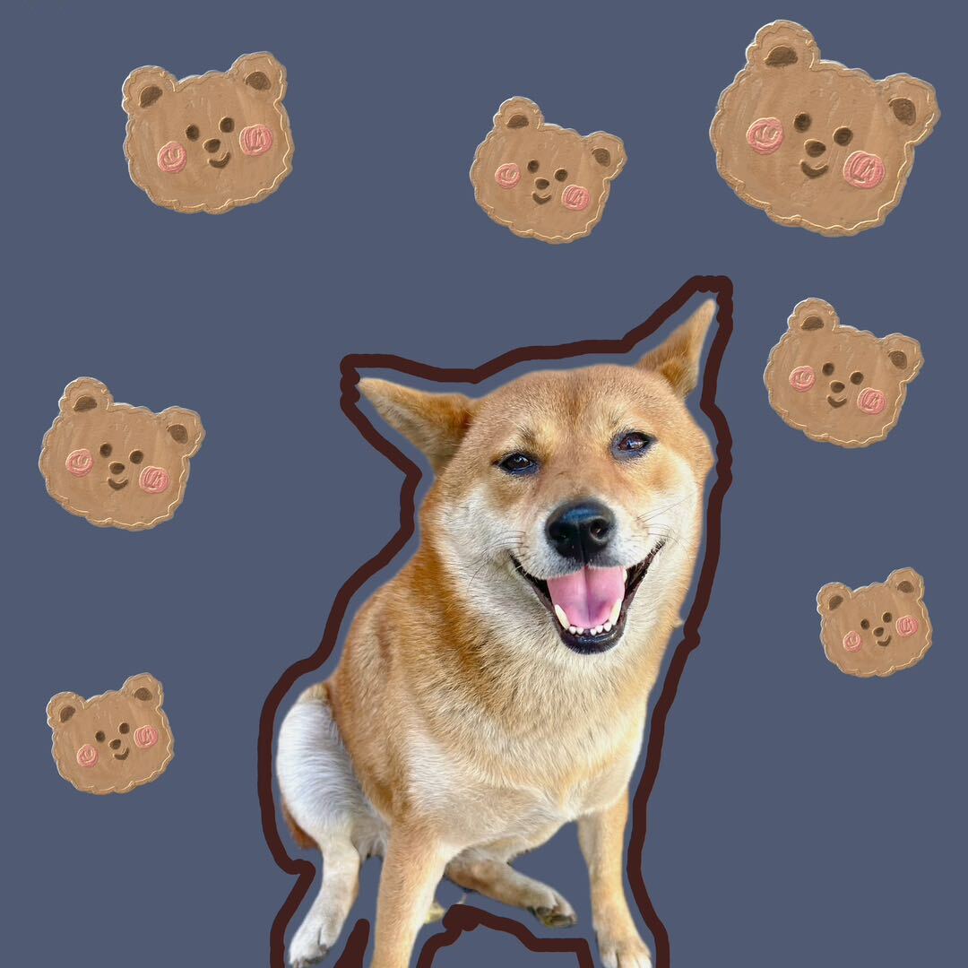 、潔子_糖糖。🌸