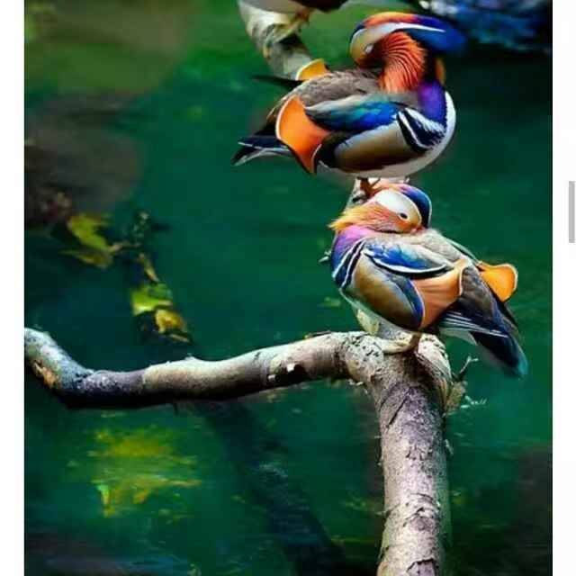 生活