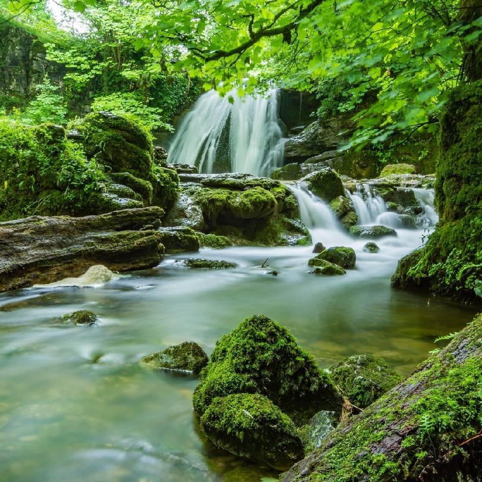 重回巅峰