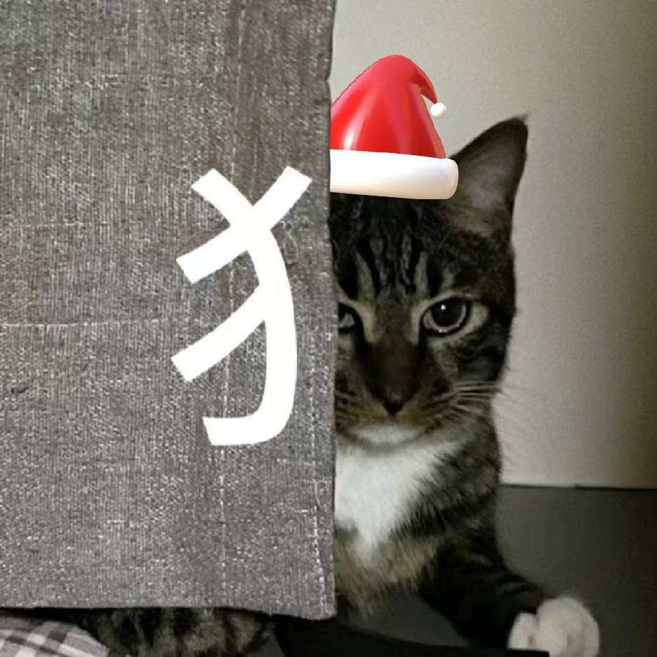 小石头