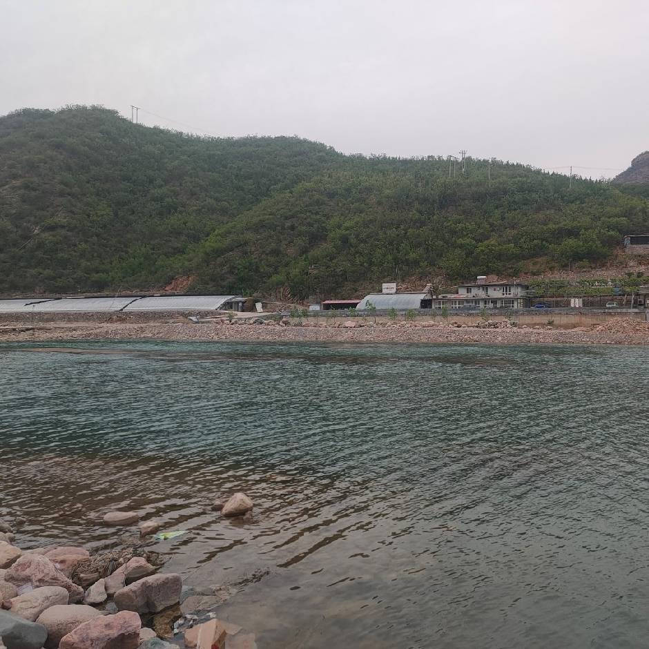 奇点