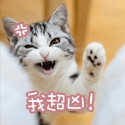 羽丰
