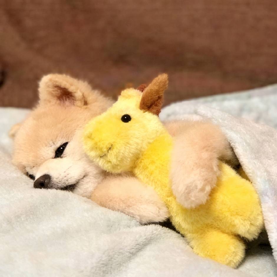 এ᭄ꦿ