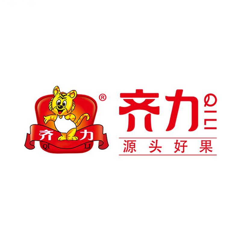 齐力-枣枣