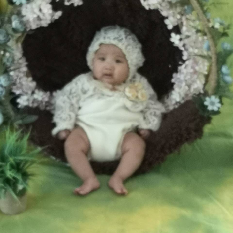 小仙女的刘先生