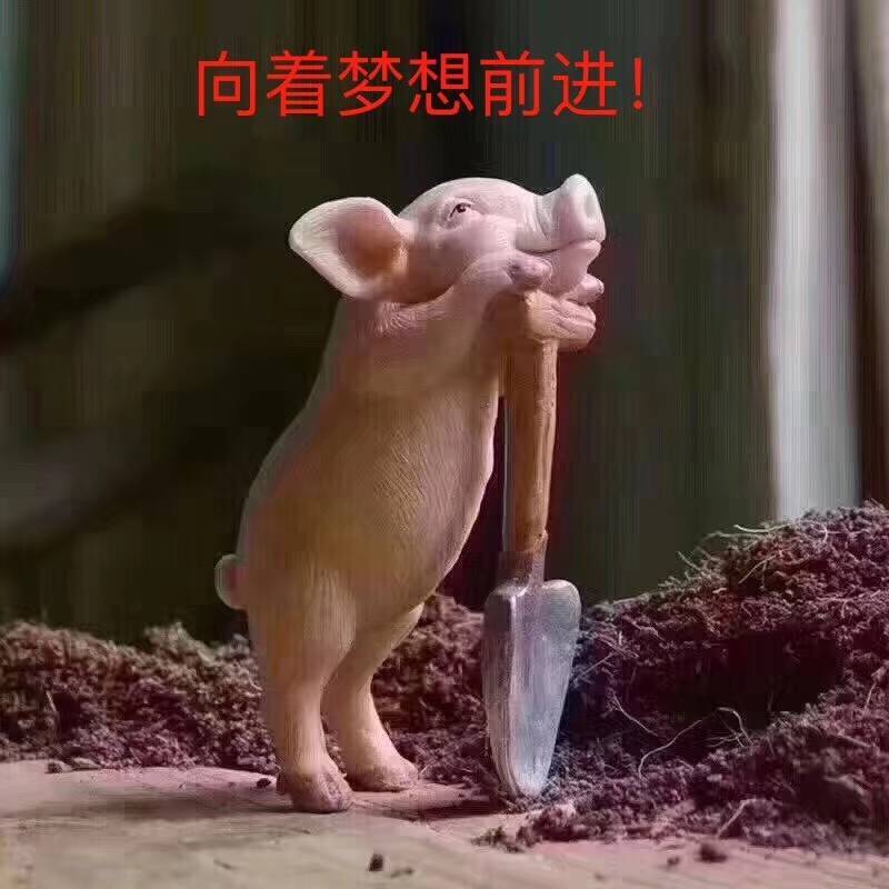 💯⃰Jamesjiang