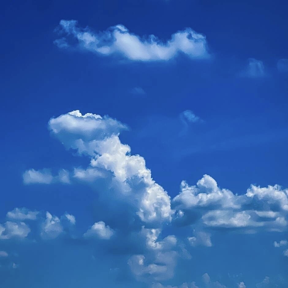 老王（有事发文字消息）