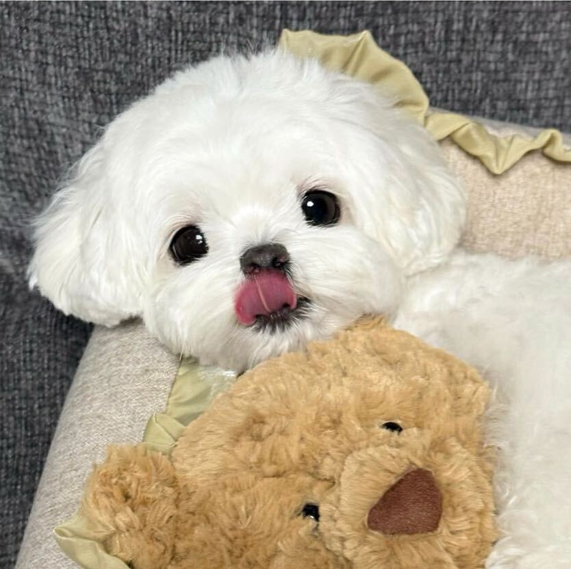 Eve🧸