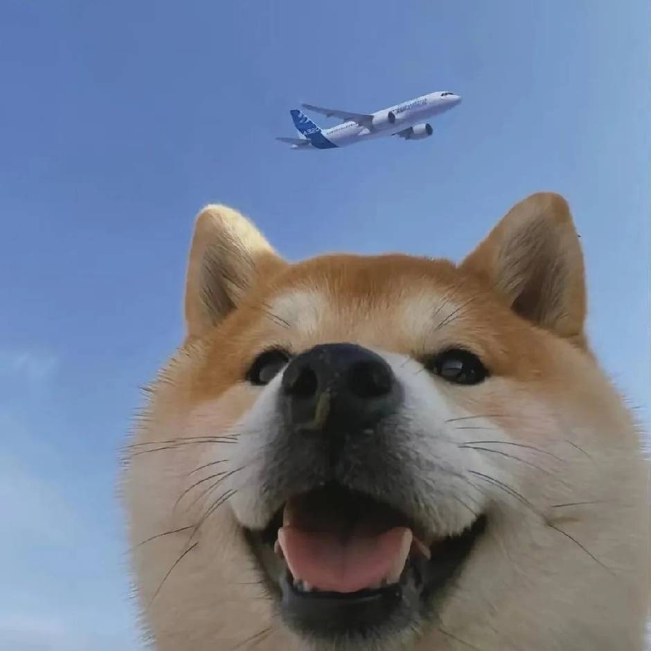 比巴卜