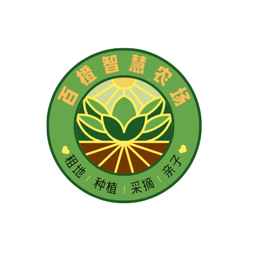 广西百橙科技有限公司