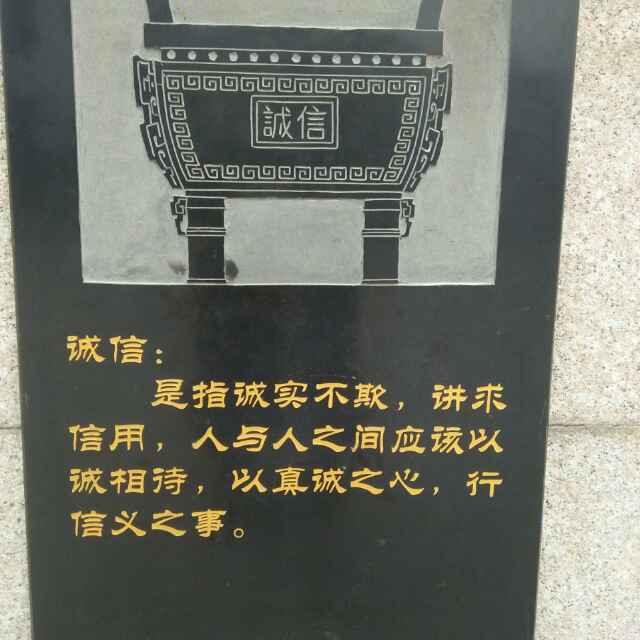 绽放光彩