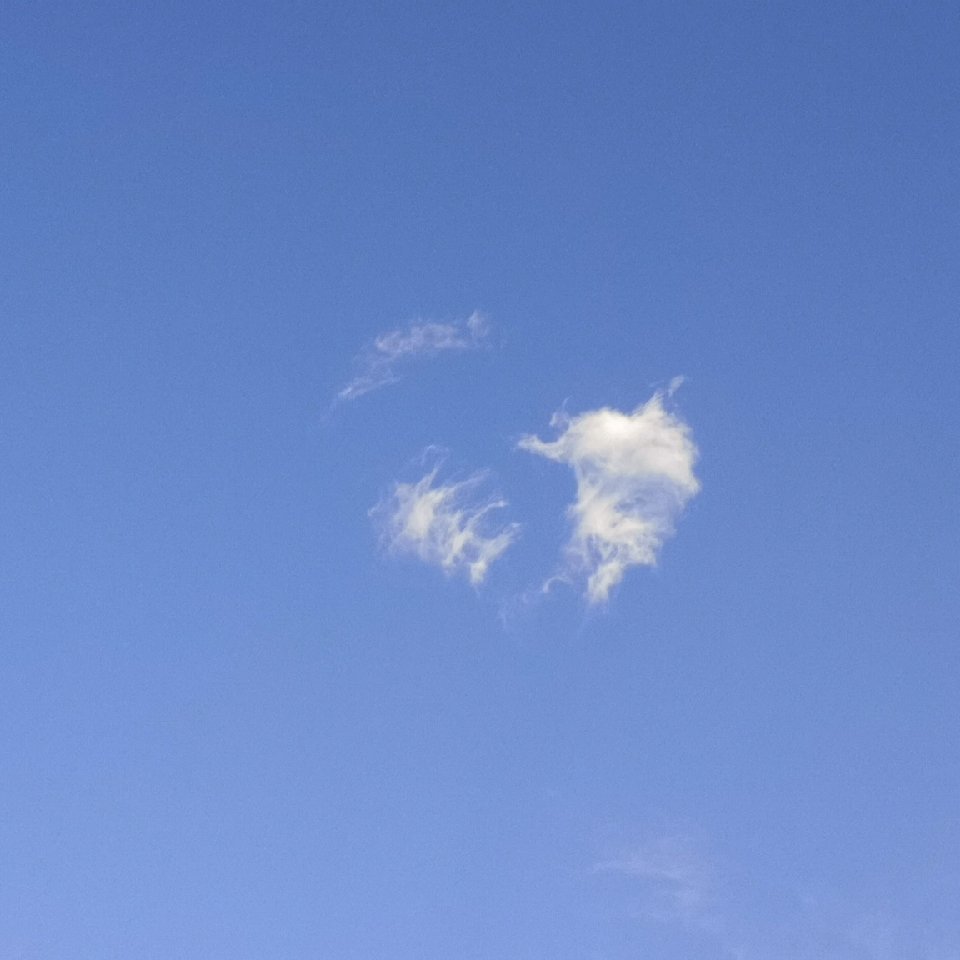 爱老虎油