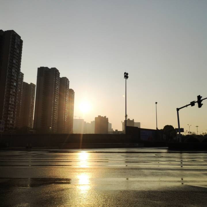 苏彪