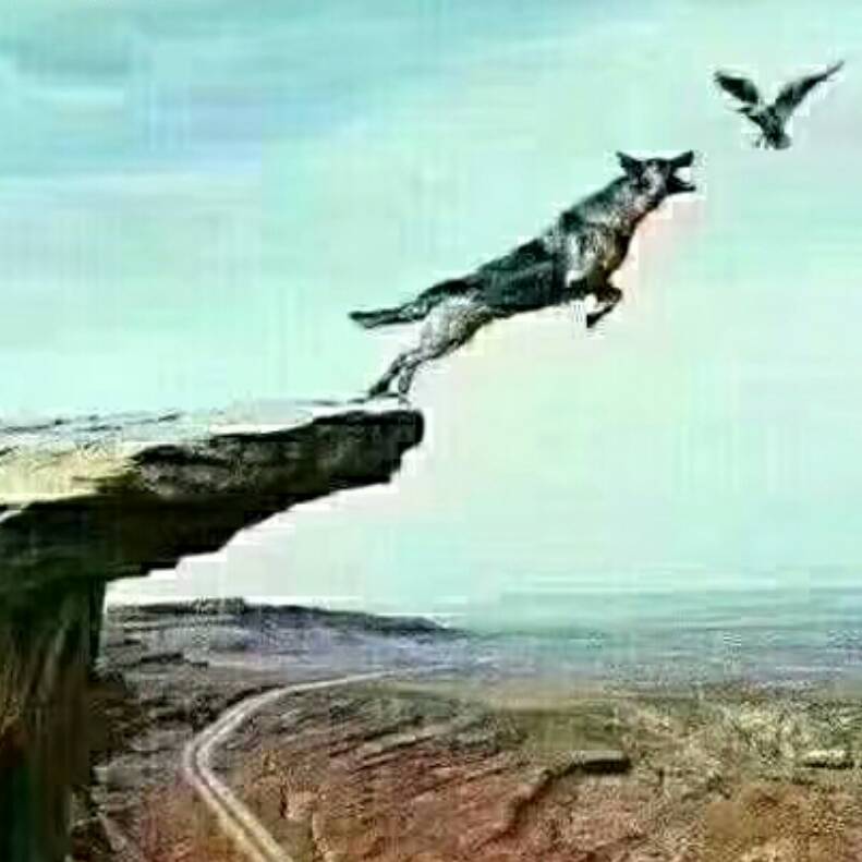 马化腾没用大脑，微信脑痴