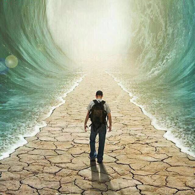 逐