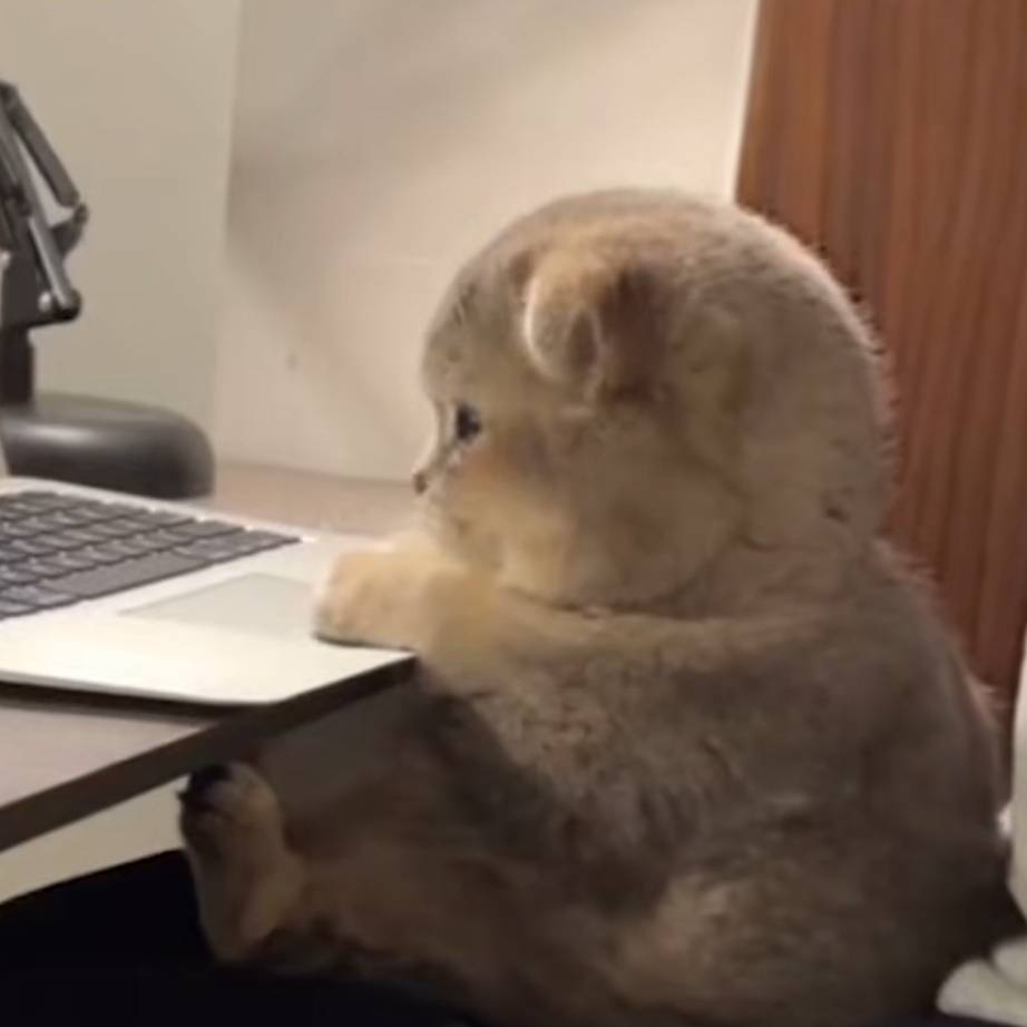 一闪一闪亮星星