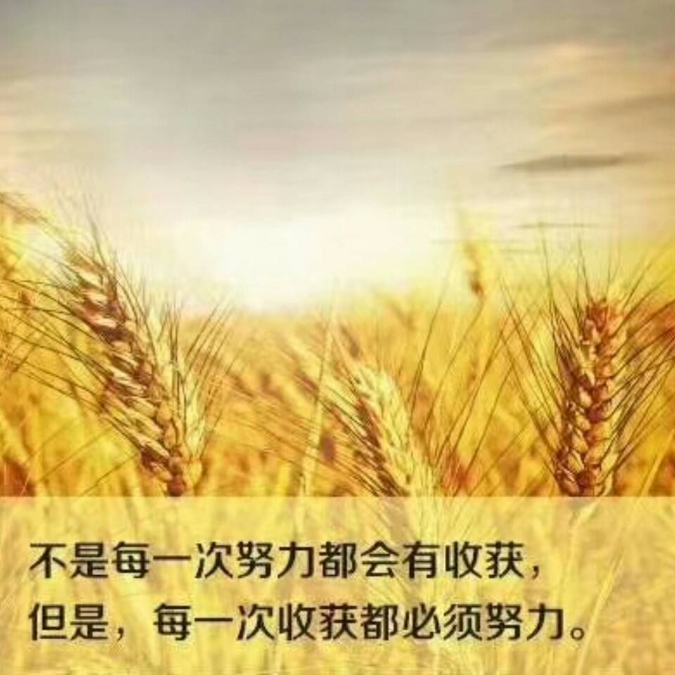 蜗牛的梦想