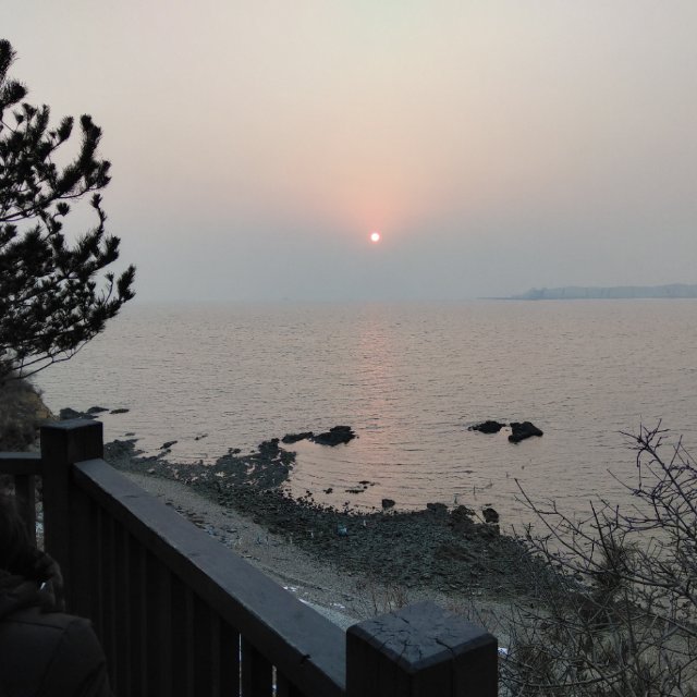 刘锐
