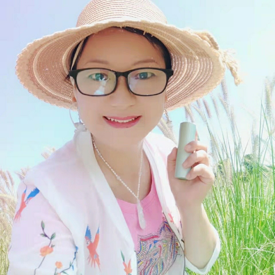 5320小燕子