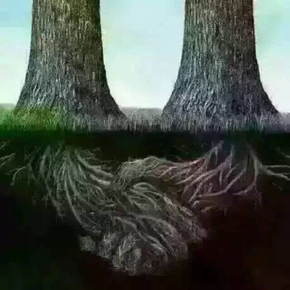 黄俊