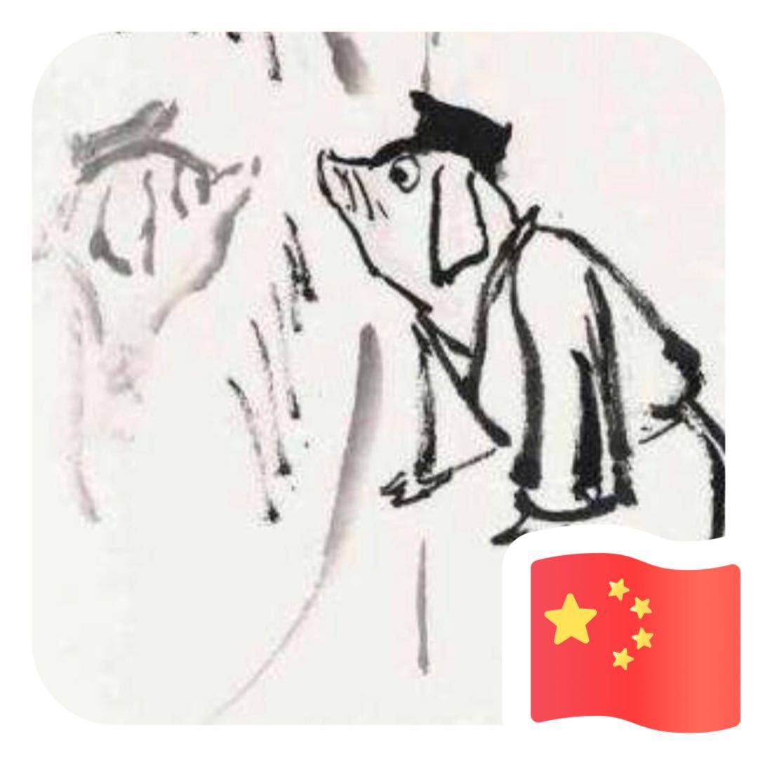 罗树董