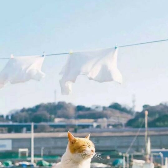 时间之外