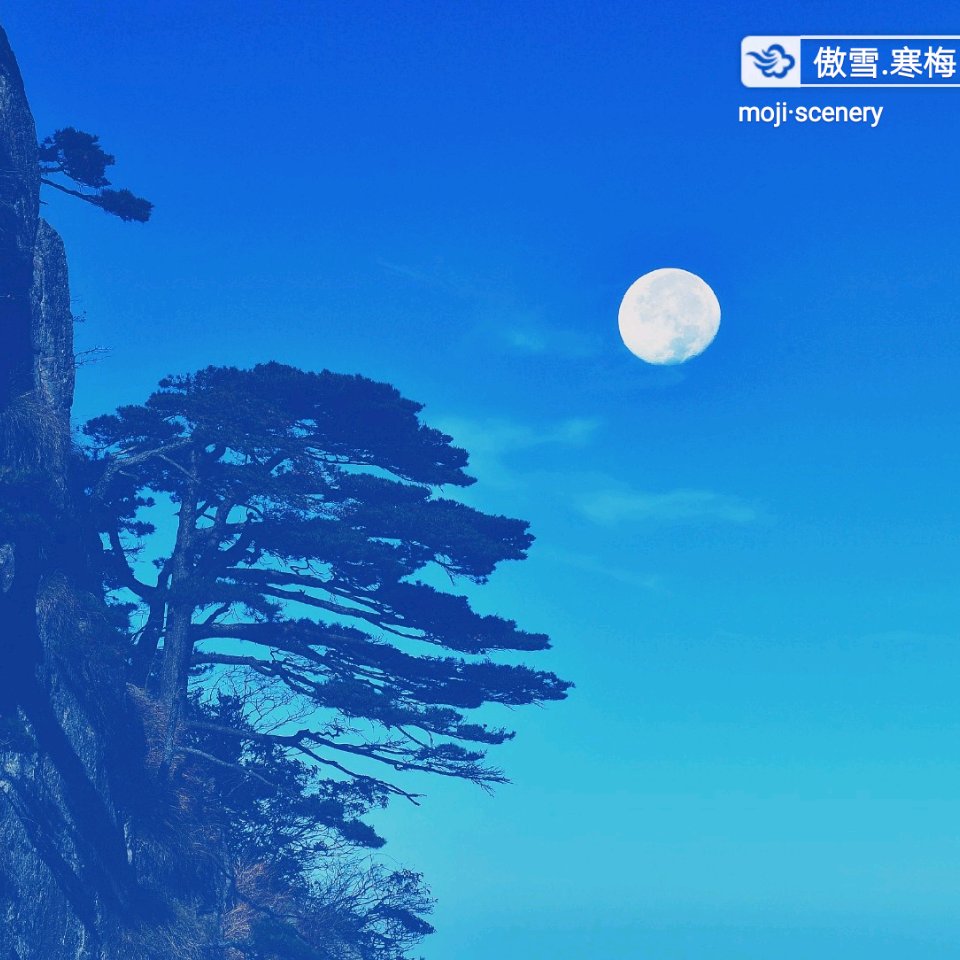 詠華