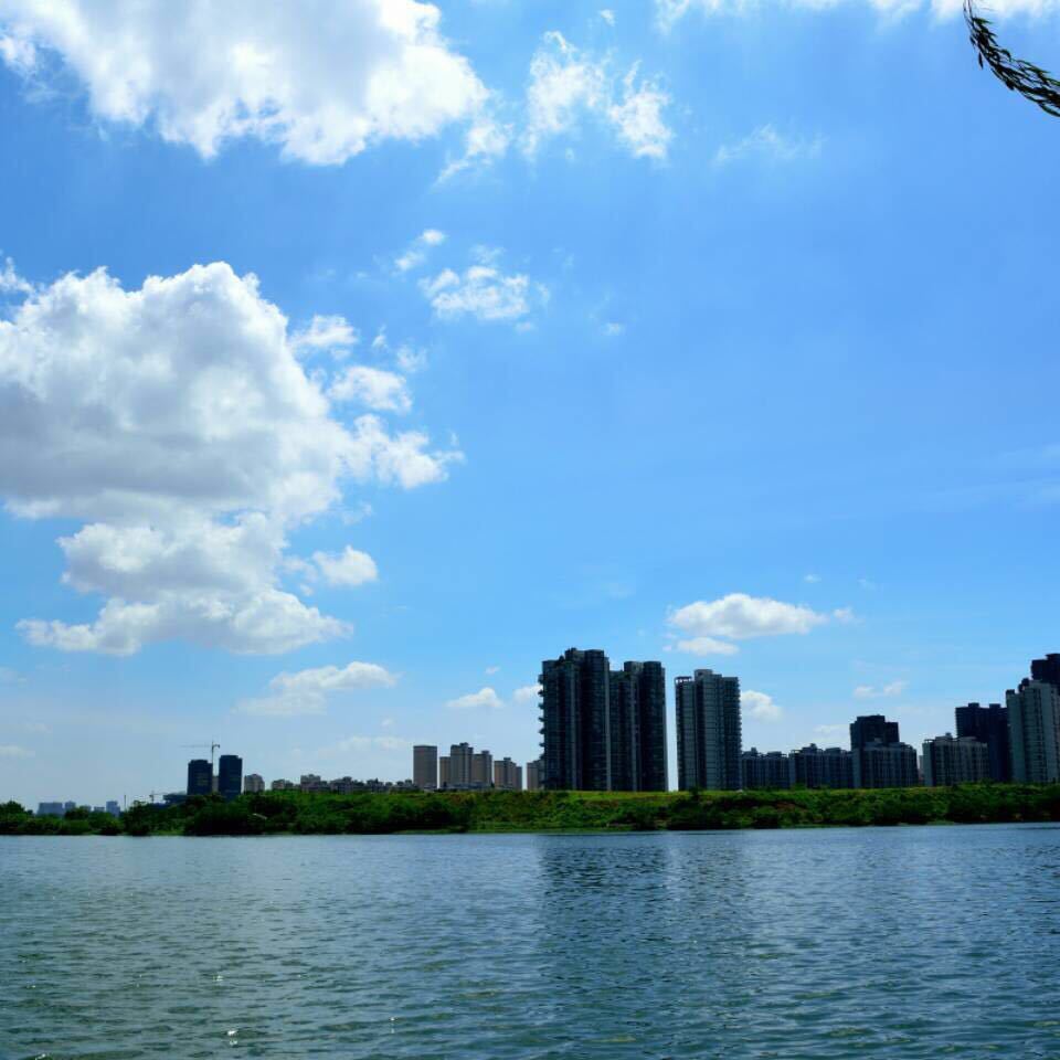 京京