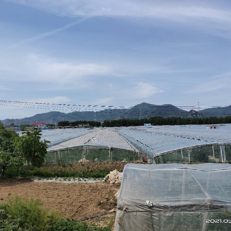 用戶頭像