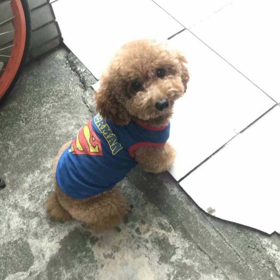 卖男孩的打火机