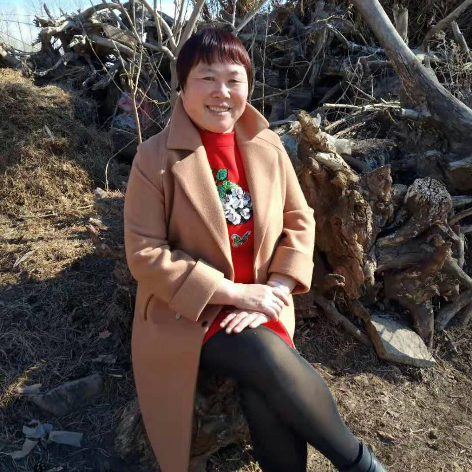 凤琴