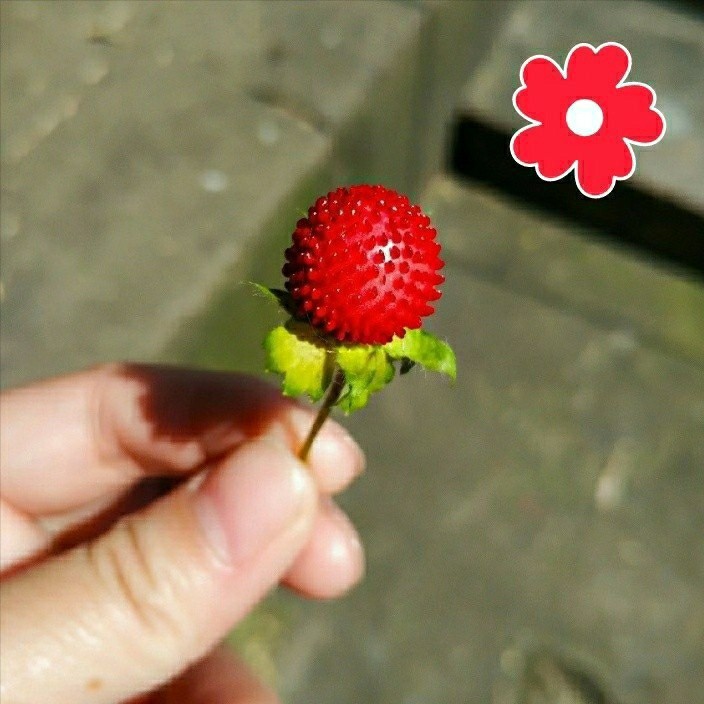 洁