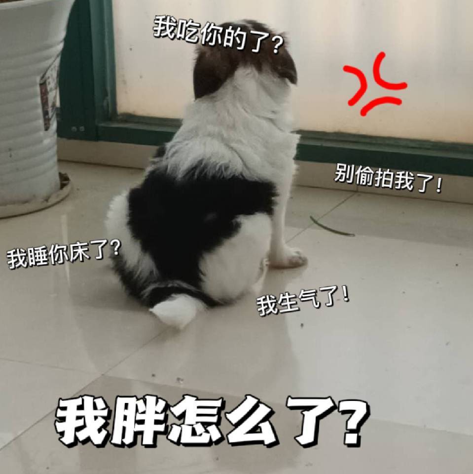用戶頭像
