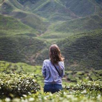 丽丽 🥂 茶酒