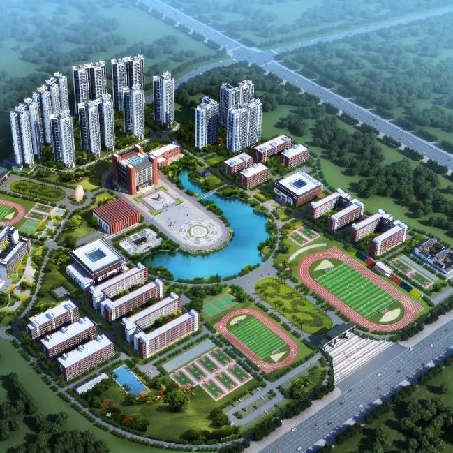 青鸟学校徐老师